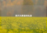 蒸汽与黄昏的私语