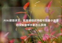 PUBG绝地求生，既是硝烟战术暗号也是小温柔的笑脸绷带手套怎么获得