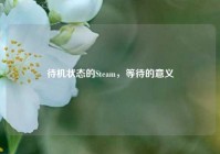 待机状态的Steam，等待的意义