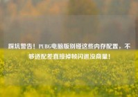 踩坑警告！PUBG电脑版别碰这些内存配置，不够适配差直接掉帧闪退没商量！