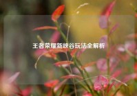 王者荣耀新峡谷玩法全解析