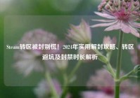 Steam转区被封别慌！2024年实用解封攻略、转区避坑及封禁时长解析