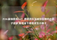 PUBG最强隐身Buff！蹲草连队友喊你在哪的小石子皮肤 附带提下绝地求生小狮子