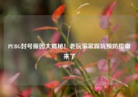 PUBG封号原因大揭秘！老玩家常踩坑预防指南来了