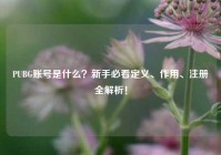 PUBG账号是什么？新手必看定义、作用、注册全解析！