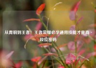 从青铜到王者！王者荣耀必学通用技能才是真·段位密码