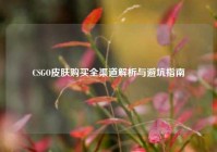 CSGO皮肤购买全渠道解析与避坑指南