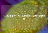 Steam设备推荐，从入门到进阶，总有一款适合你