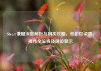 Steam俄服深度解析与购买攻略，低价区诱惑、操作全流程及风险警示