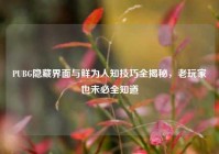 PUBG隐藏界面与鲜为人知技巧全揭秘，老玩家也未必全知道