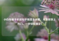 小白专属手机投和平精英全攻略，从录屏到上热门，一步轻松搞定！