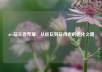 vivo玩王者荣耀，从能玩到玩得爽的进化之路