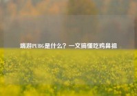 端游PUBG是什么？一文搞懂吃鸡鼻祖