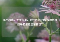 小小积木，大大未来，为什么STEAM编程积木是孩子的思维启蒙首选？