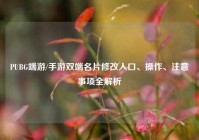 PUBG端游/手游双端名片修改入口、操作、注意事项全解析