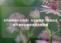 全方位解锁PUBG体验！从正版获取、沉浸玩法到专属体验服申请的完整教程