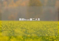 我的Steam第二人生