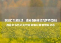 联盟行动第三话，祖安裂隙探诺克萨斯暗哨！遇超会拆炸药的软萌弗雷尔卓德雪狐幼崽