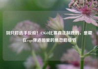 别只盯选手反应！CSGO比赛真正制胜的，是藏在csgo弹道图里的易忽略细节