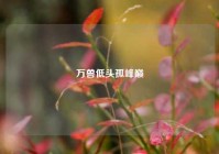 万兽低头孤峰巅
