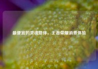 最便宜的灵魂陪伴，王者荣耀消费体验