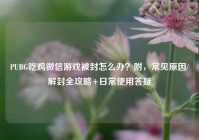 PUBG吃鸡微信游戏被封怎么办？附，常见原因/解封全攻略+日常使用答疑