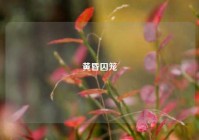 黄昏囚笼