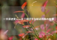一文讲透免Steam补丁绕过平台验证的核心原理