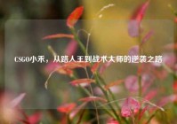 CSGO小禾，从路人王到战术大师的逆袭之路