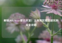 解锁202X Steam低价天堂！土耳其区稳定避坑购买全攻略