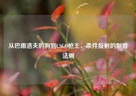 从巴甫洛夫的狗到CSGO枪王，条件反射的制胜法则