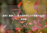 急哭！翻遍Steam搜不到游戏？10个实用方法99%能搞定