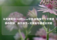 从完美竞技CSGO转Steam中国/自由服？一文理清核心区别、操作细节+完美账号赚钱全攻略