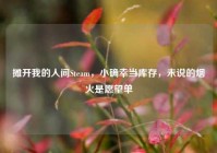 摊开我的人间Steam，小确幸当库存，未说的烟火是愿望单