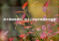 终于蹲到想看的！指尖上的和平精英突变团竞