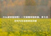 PUBG被举报别慌！一文搞懂举报机制、多久会封号与全流程申诉攻略
