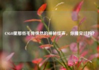 CSGO里那些毛骨悚然的神秘怪声，你撞见过吗？