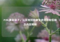PUBG黄金箱子，从常规到隐藏全途径获取指南及内容揭秘