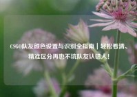 CSGO队友颜色设置与识别全指南｜轻松看清、精准区分再也不坑队友认错人！