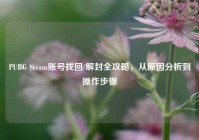 PUBG Steam账号找回/解封全攻略，从原因分析到操作步骤