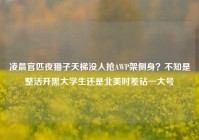 凌晨官匹夜猫子天梯没人抢AWP架侧身？不知是整活开黑大学生还是北美时差钻一大号
