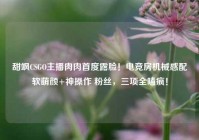 甜飒CSGO主播肉肉首度露脸！电竞房机械感配软萌颜+神操作 粉丝，三项全嗑疯！