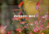 枪林弹雨中的一瞬闪光