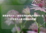 绝地求生PUBG，3秒定乾坤的镜头标志细节+左右摇晃怎么调 老萌新必修课！