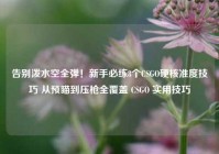 告别泼水空全弹！新手必练8个CSGO硬核准度技巧 从预瞄到压枪全覆盖 CSGO 实用技巧