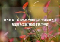 峡谷惊鸿一瞥苦练成手柄磕头机十级学者？王者荣耀队友跪拜设置手把手教你