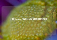 正版Steam，每位玩家最值得的投资