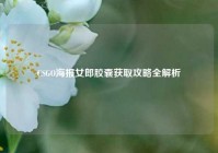 CSGO海报女郎胶囊获取攻略全解析