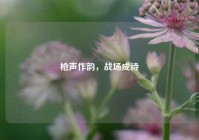 枪声作韵，战场成诗
