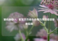 驱动加载CF，配置文件核心作用与实战错误排查指南